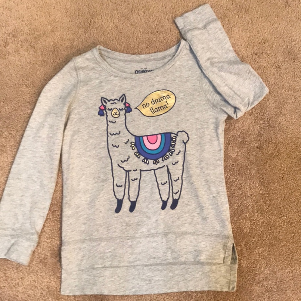 3/$12 🎈EUC!  OshKosh Llama Long sleeve T-s…
